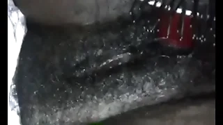 1805 hairy pussy porn videos